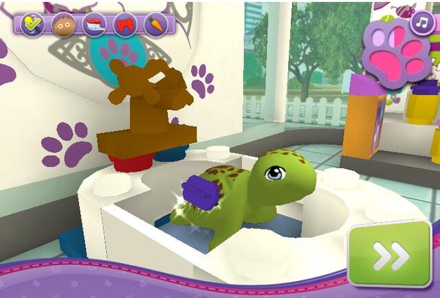 File:Scrubbing the turtle.jpg