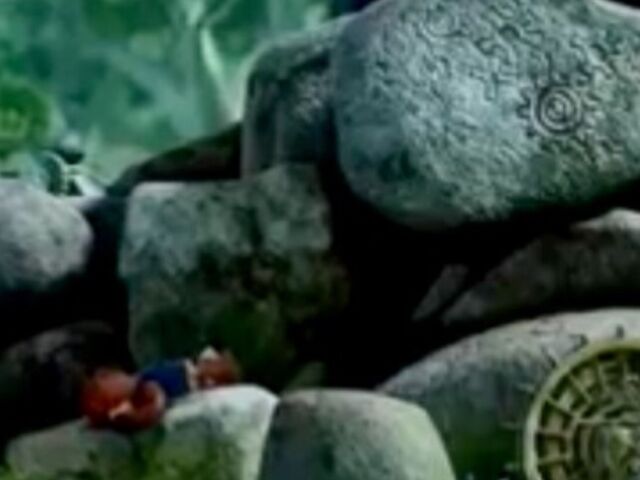 File:Bulkar sleeping.jpeg