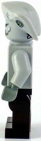 File:D13.jpg