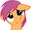 BellahScoots
