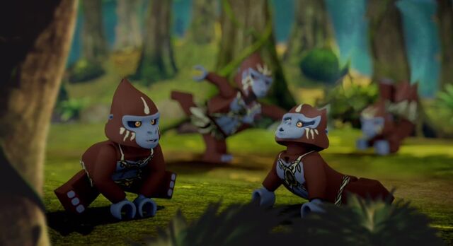 File:Chima Gorillas.jpg