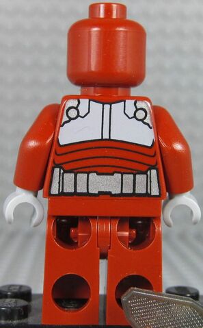 File:Beetle back.jpg