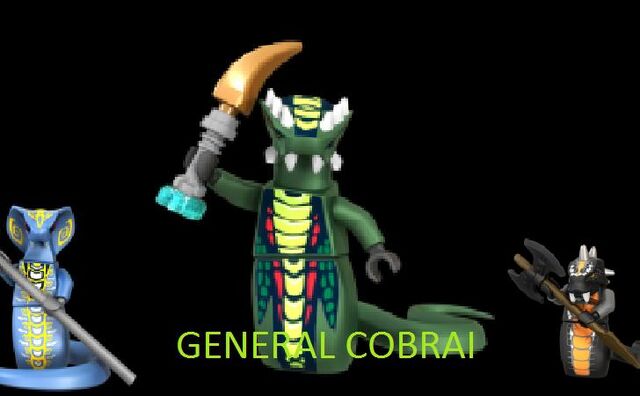File:General cobrai.jpg