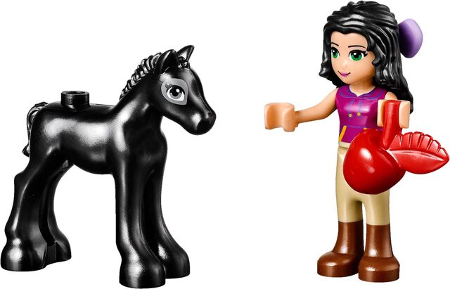 File:Foal-s-Washing-Station-Foal-and-Emma-41123.jpg