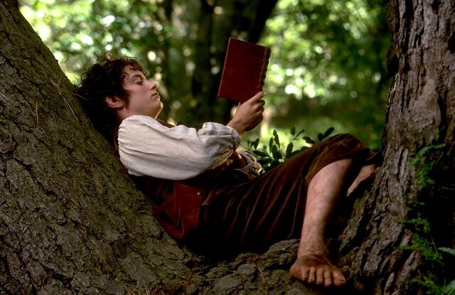 File:Frodo-reading.jpg