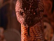 Kaa 1994.jpg