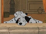 Pongo & perdita.jpg
