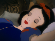 Vlcsnap-2013-05-28-11h47m45s76.png