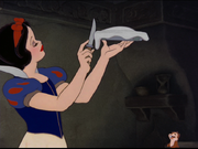Vlcsnap-2013-05-31-19h49m00s123.png