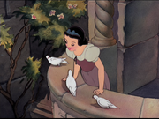 Vlcsnap-2013-05-28-11h41m40s33.png