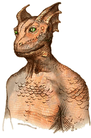 Drakon