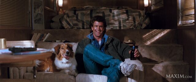 File:Sam the dog.jpg