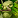 File:ForestTrollM.gif