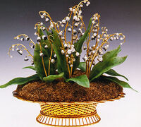 Lily Basket