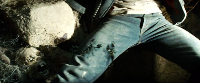 File:Crystal-skull-movie-screencaps.com-5710.jpg
