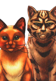Sacha et Etoile du Tigre.png