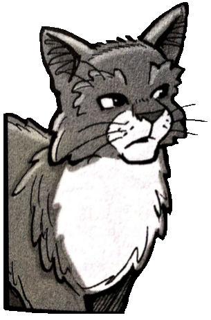 Billystorm.manga SkyClan's Destiny