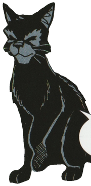 Patte Folle.png