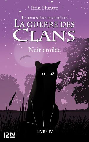 Fichier:Nuit Etoilée.jpg