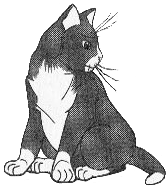 Félix2