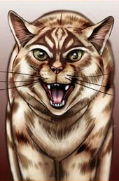 Étoile du Tigre .png
