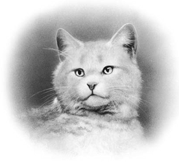 Tornadeblanche.png