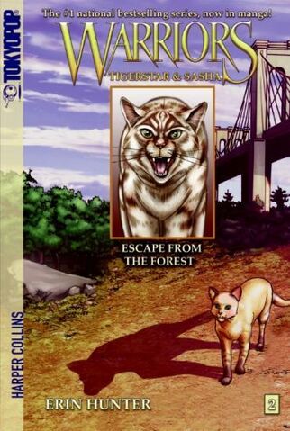 Fichier:Escape from the forest.jpg