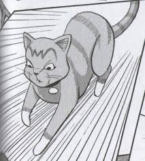 Millie aui court.jpg