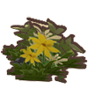 File:Adorn4.png