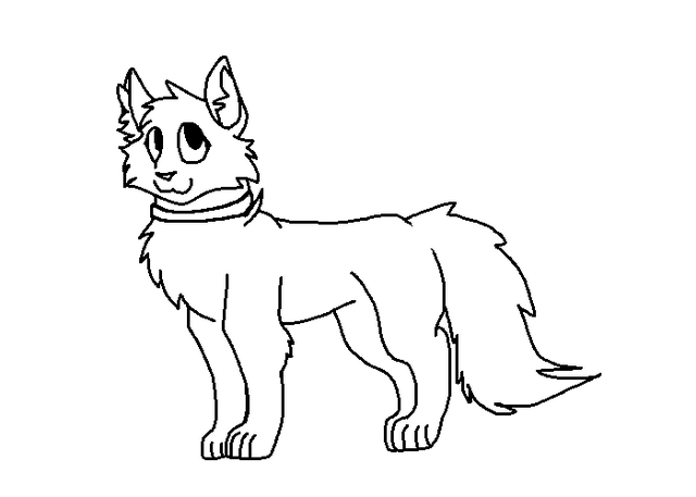 Файл:Длинношёрстная домашняя кошка.png