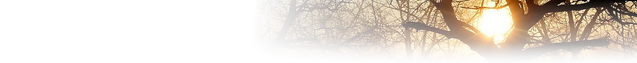 Datei:Spätherbstbanner3.png
