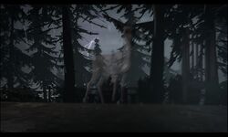 Doe vision