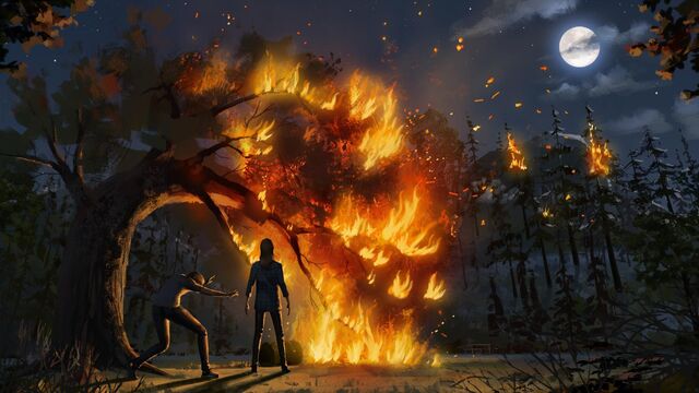 Datei:Fire.jpg