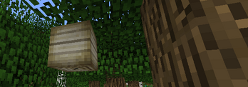 Beehive