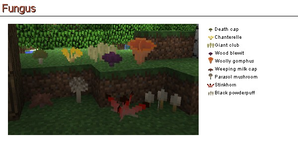 Mushroom (Plant Mega Pack)  Life In The Woods (Minecraft 