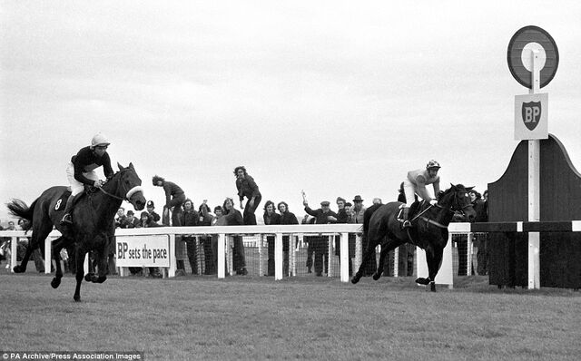 File:Wikia LoM - Red Rum winning GN ('73).jpg
