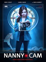 Nanny cam
