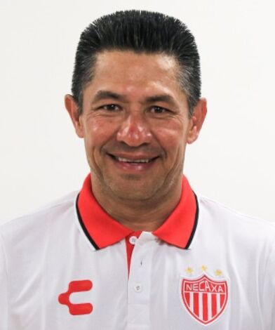 Archivo:IgAmbriz.jpg