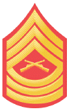 E-8 Master Sergeant small