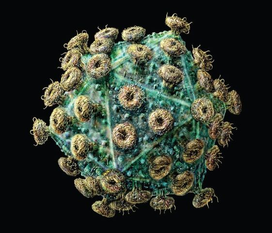 File:Hiv.jpg