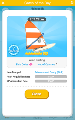File:Wind surfing.png