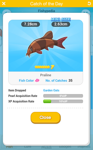 File:Screenshot 2014-03-14-20-25-47.png