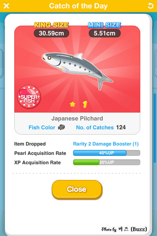 File:Japanese pilchard.png