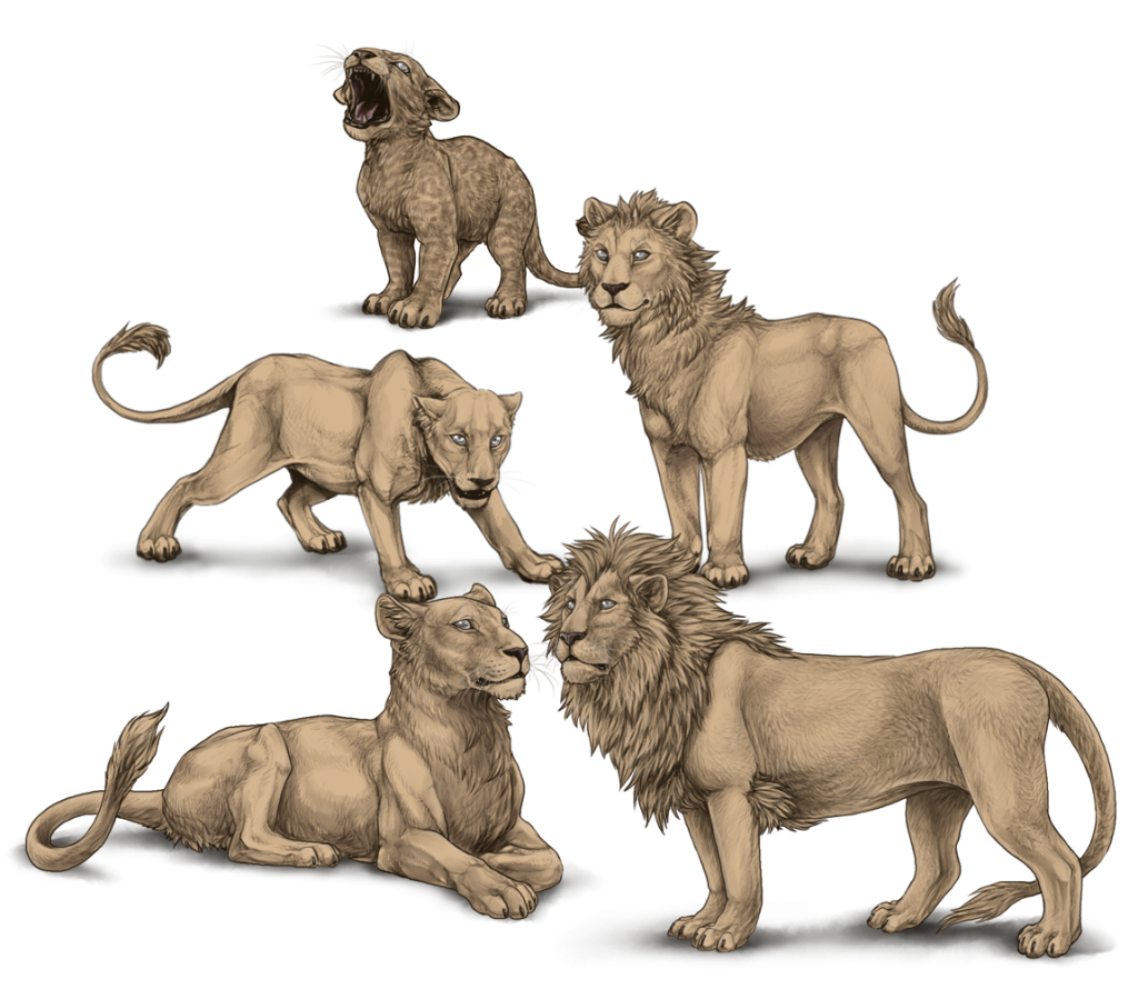 Cubs | Lioden Wiki | Fandom powered by Wikia