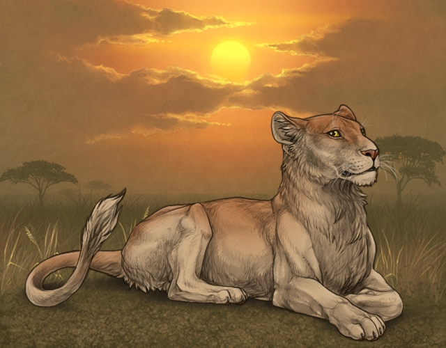 Lioness lioden wiki fandom powered by wikia
