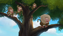 Baboons (128)