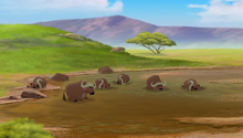 Baboons (490)