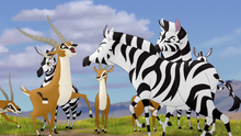 The-mbali-fields-migration (23)