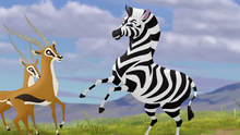 The-mbali-fields-migration (60)