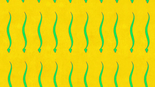 File:Ono-and-the-egg (407).png